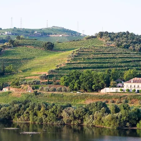 Casa Dos Varais, Manor House 4* Ламегу