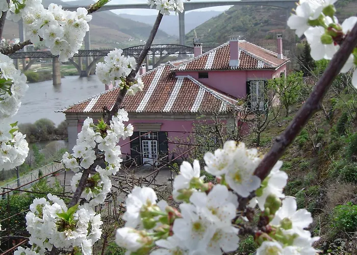 Gæstehus Casa Dos Varais, Manor House 4*